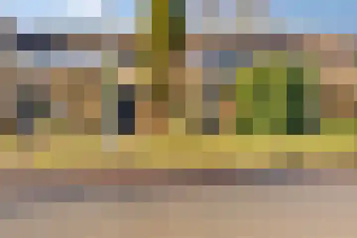 de Zandkampen 18 Zaltbommel thumbnail 35