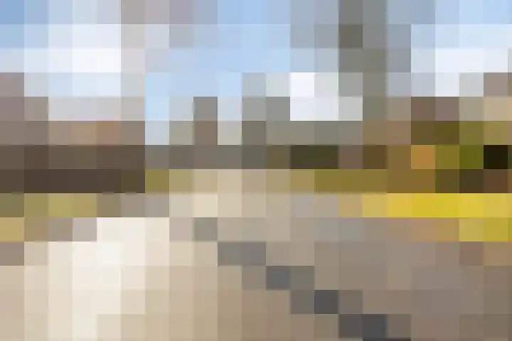 de Zandkampen 18 Zaltbommel thumbnail 36