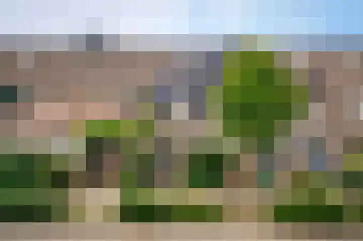 de Zandkampen 74 Zaltbommel thumbnail 31