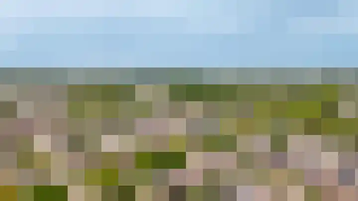 de Zandkampen 74 Zaltbommel thumbnail 32