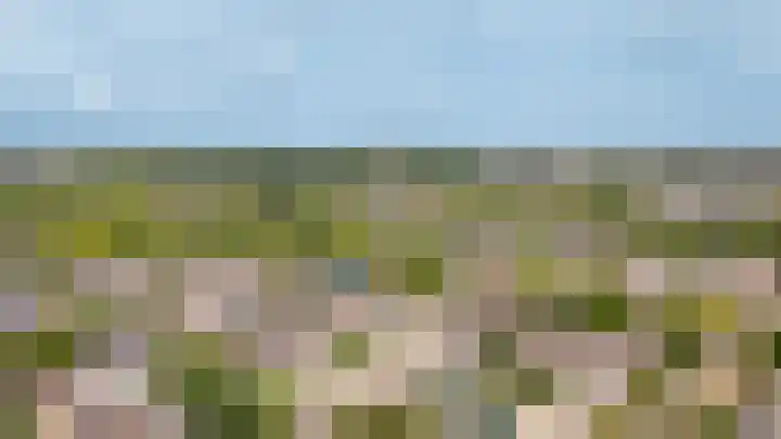 de Zandkampen 74 Zaltbommel thumbnail 4