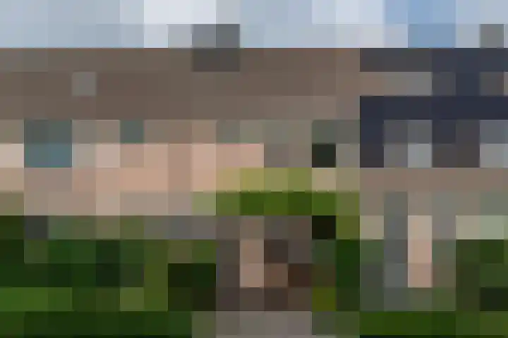 de Zandkampen 76 Zaltbommel thumbnail 36