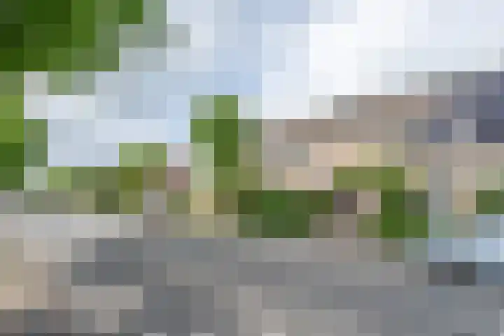 de Zandkampen 76 Zaltbommel thumbnail 37