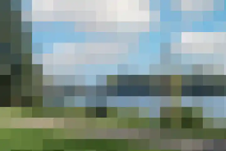 de Zandkampen 76 Zaltbommel thumbnail 38