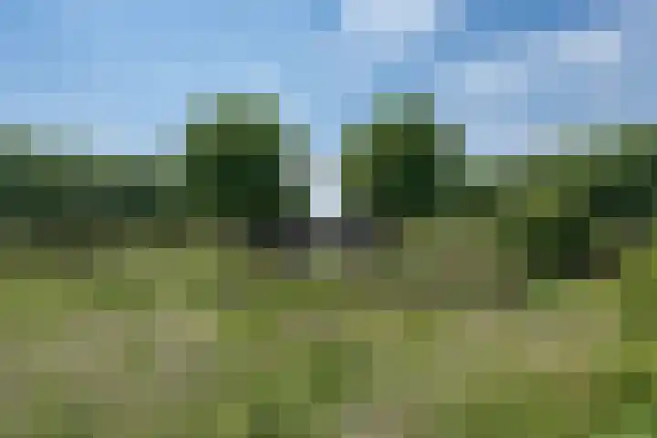 de Zandkampen 76 Zaltbommel thumbnail 39