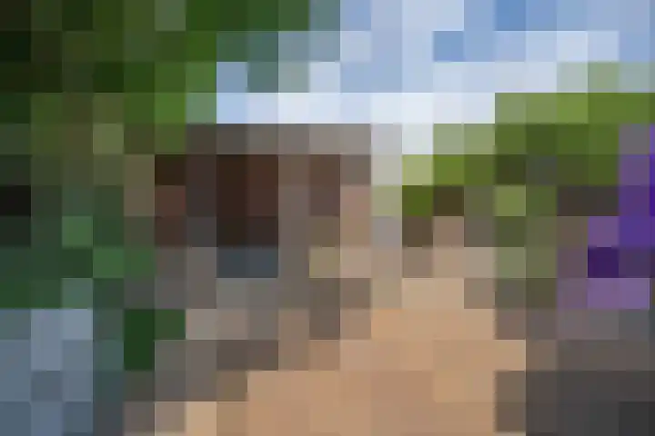 de Zandkampen 76 Zaltbommel thumbnail 4