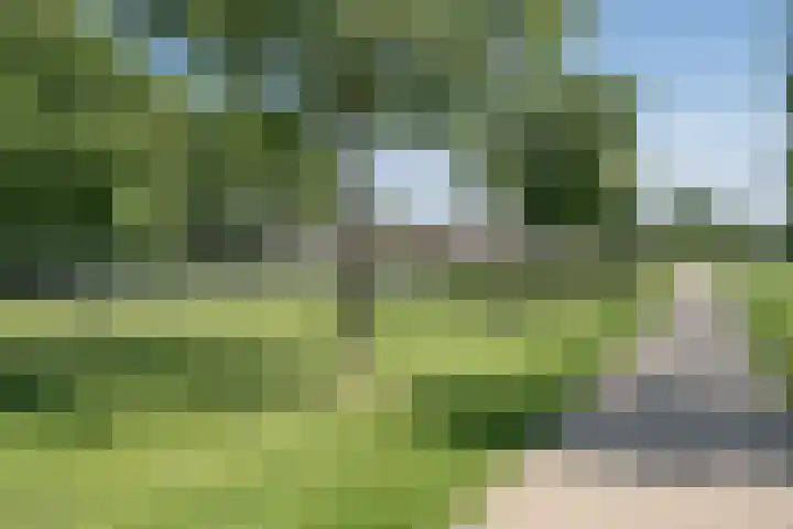 de Zandkampen 76 Zaltbommel thumbnail 41
