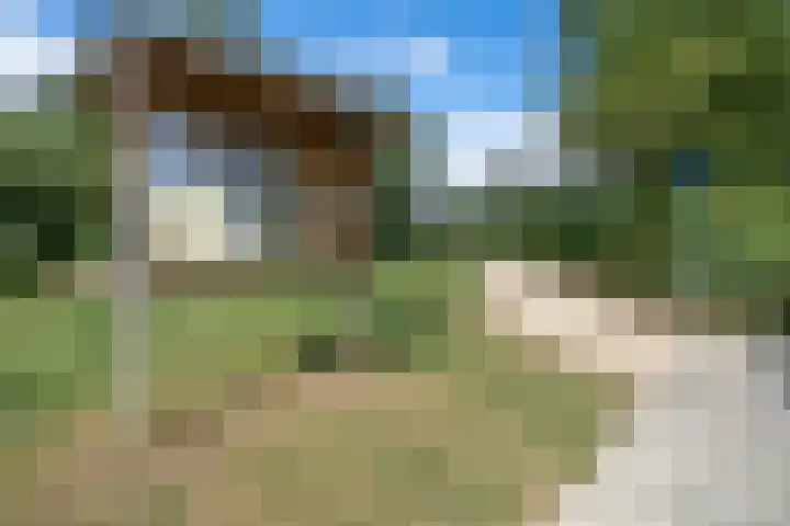 de Zandkampen 76 Zaltbommel thumbnail 43