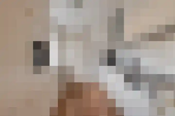 De Zandkuil 1 Tricht thumbnail 9