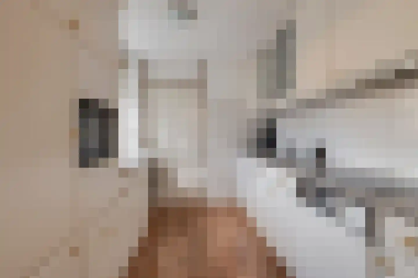 De Zandkuil 1 Tricht thumbnail 9