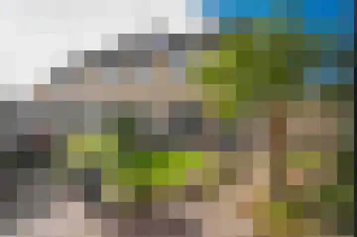 De Zandkuil 5 Tricht thumbnail 25