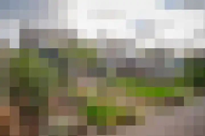 De Zandkuil 5 Tricht thumbnail 27