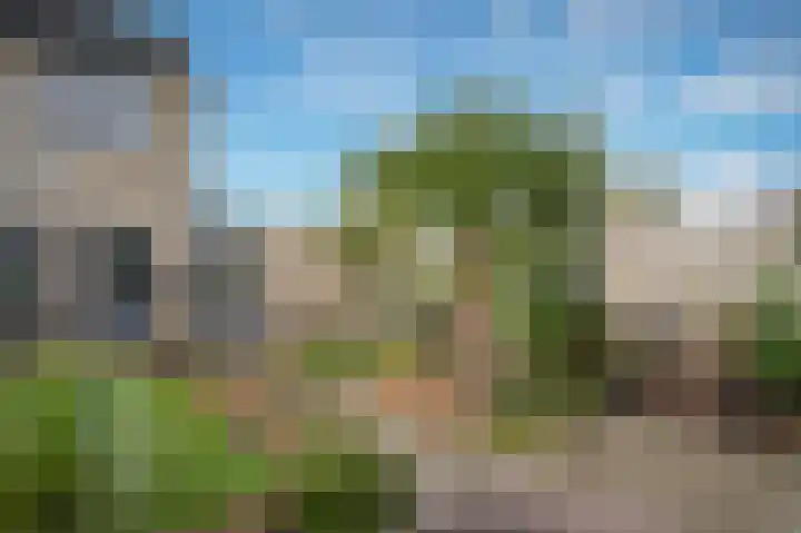 De Zandkuil 5 Tricht thumbnail 29
