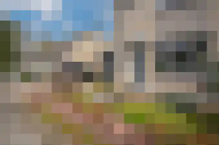 De Zandkuil 5 Tricht thumbnail 32