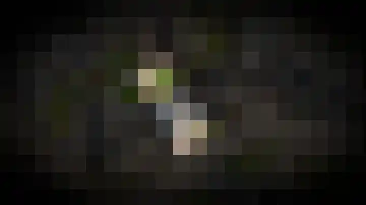 De Zandkuil 5 Tricht thumbnail 39
