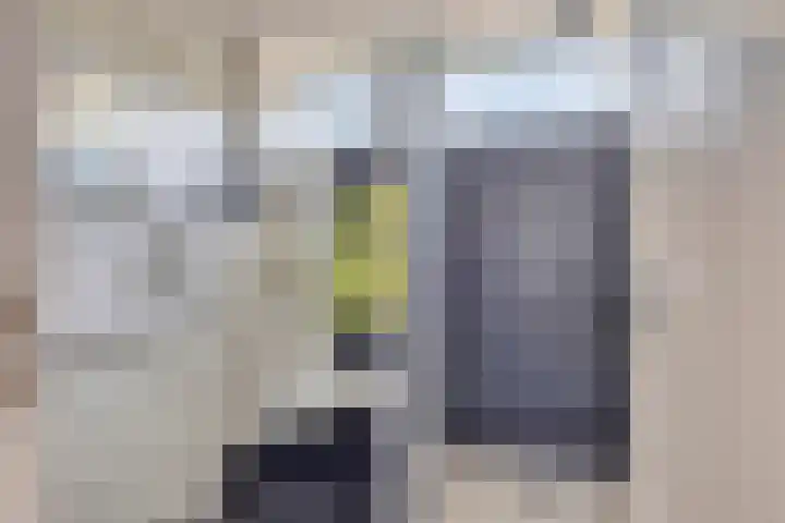 De Zandkuil 7 IJmuiden thumbnail 20