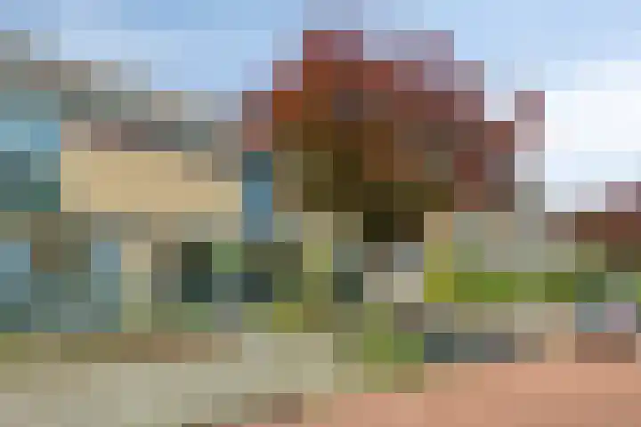 De Zandkuil 7 IJmuiden thumbnail 32