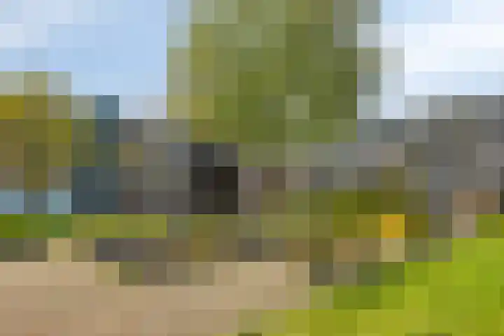 De Zandkuil 7 IJmuiden thumbnail 35