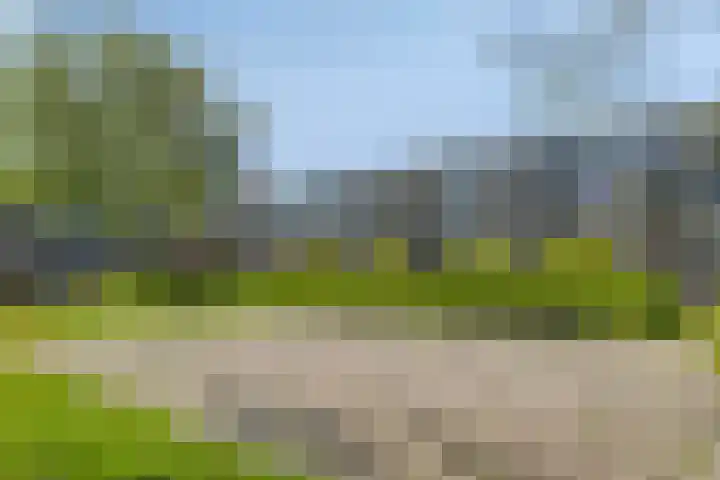 De Zandkuil 7 IJmuiden thumbnail 36