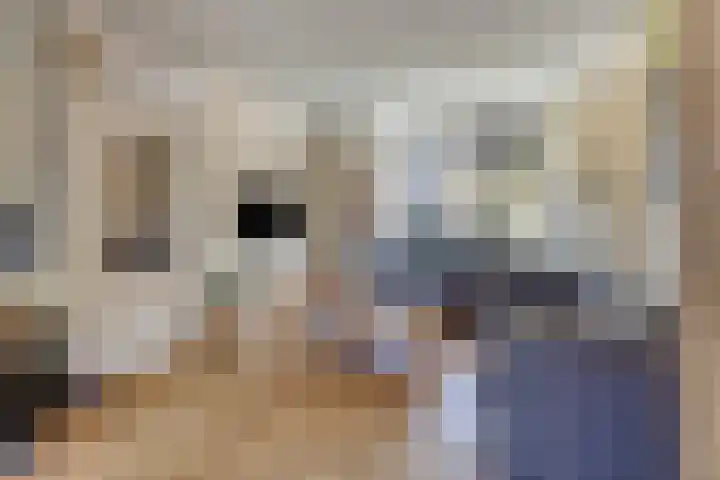 De Zandkuil 7 IJmuiden thumbnail 8