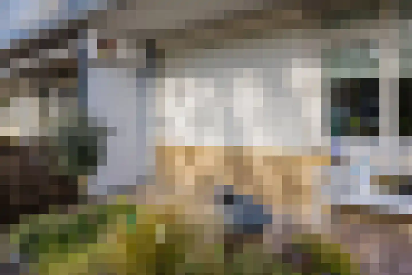 De Zandkuil 9 IJmuiden thumbnail 31
