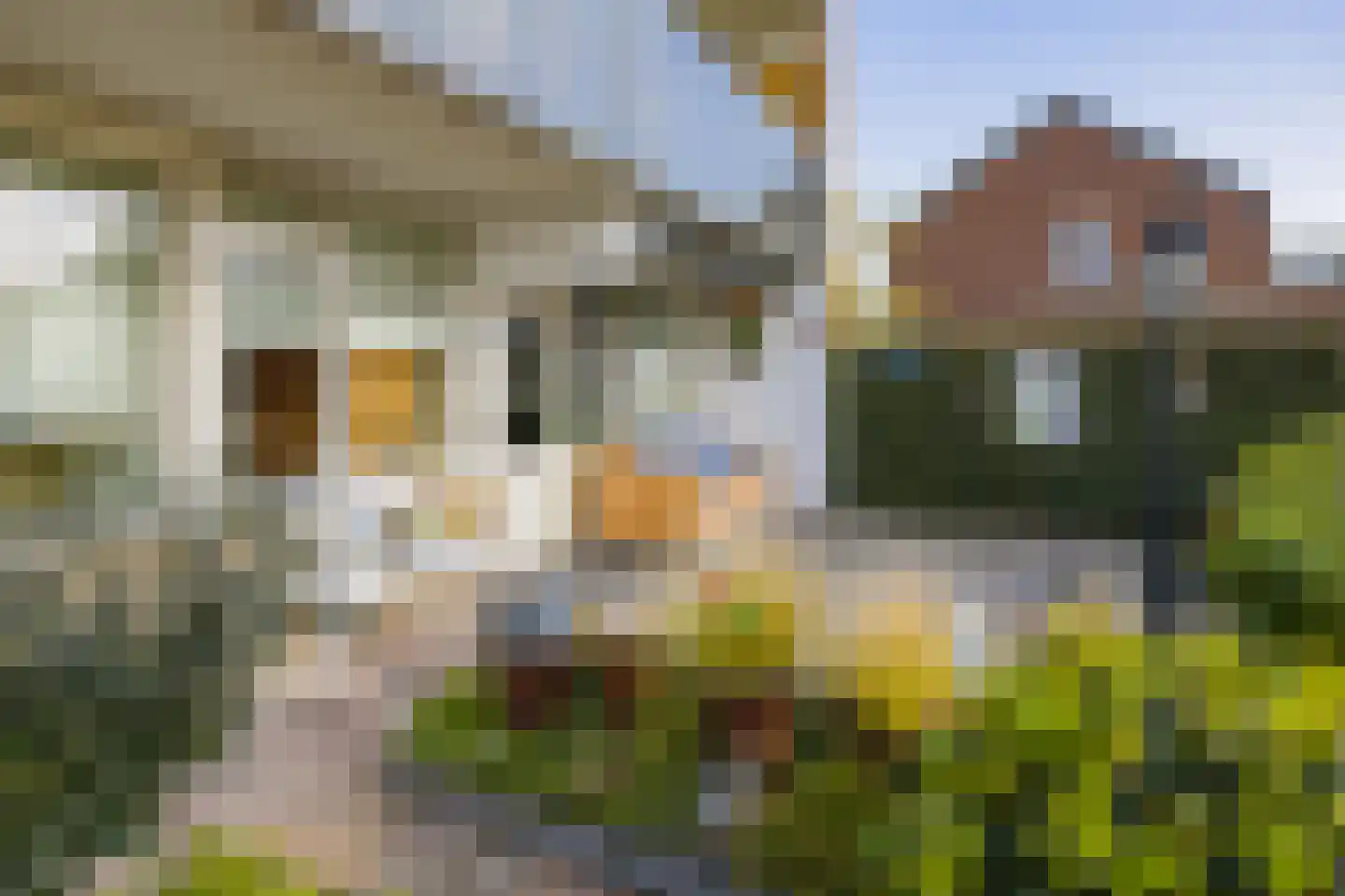 De Zandkuil 9 IJmuiden thumbnail 6