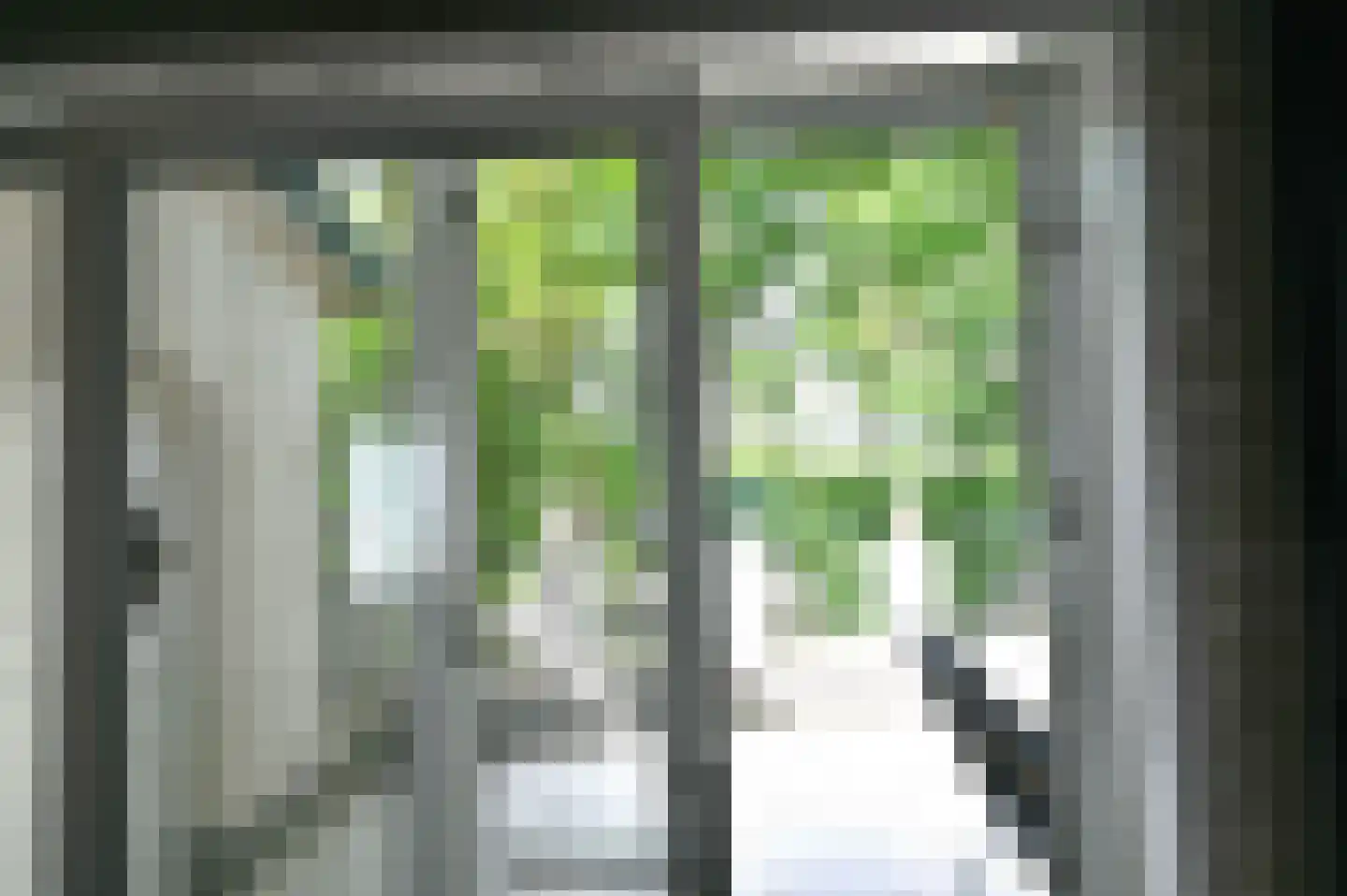De Zandput 10 Zoutelande thumbnail 19