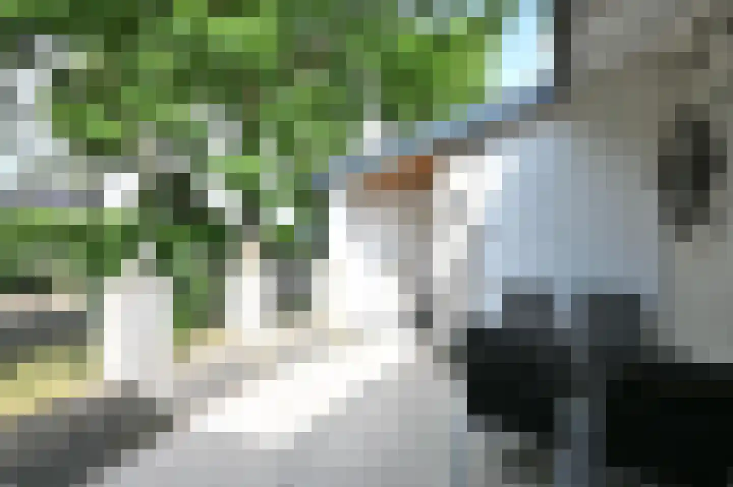 De Zandput 10 Zoutelande thumbnail 21