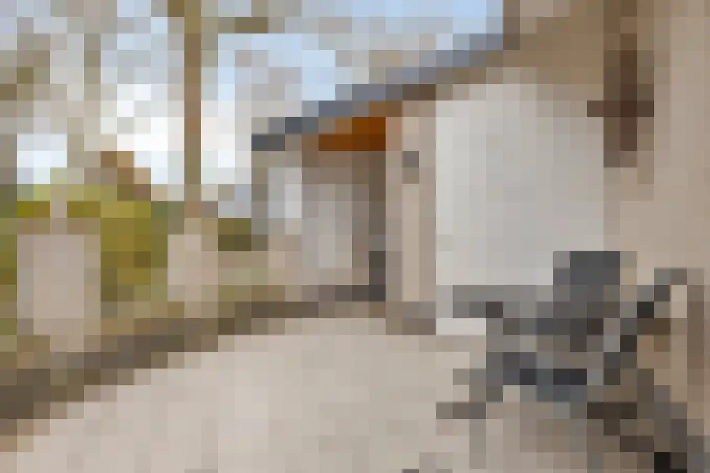 De Zandput 10 Zoutelande thumbnail 21