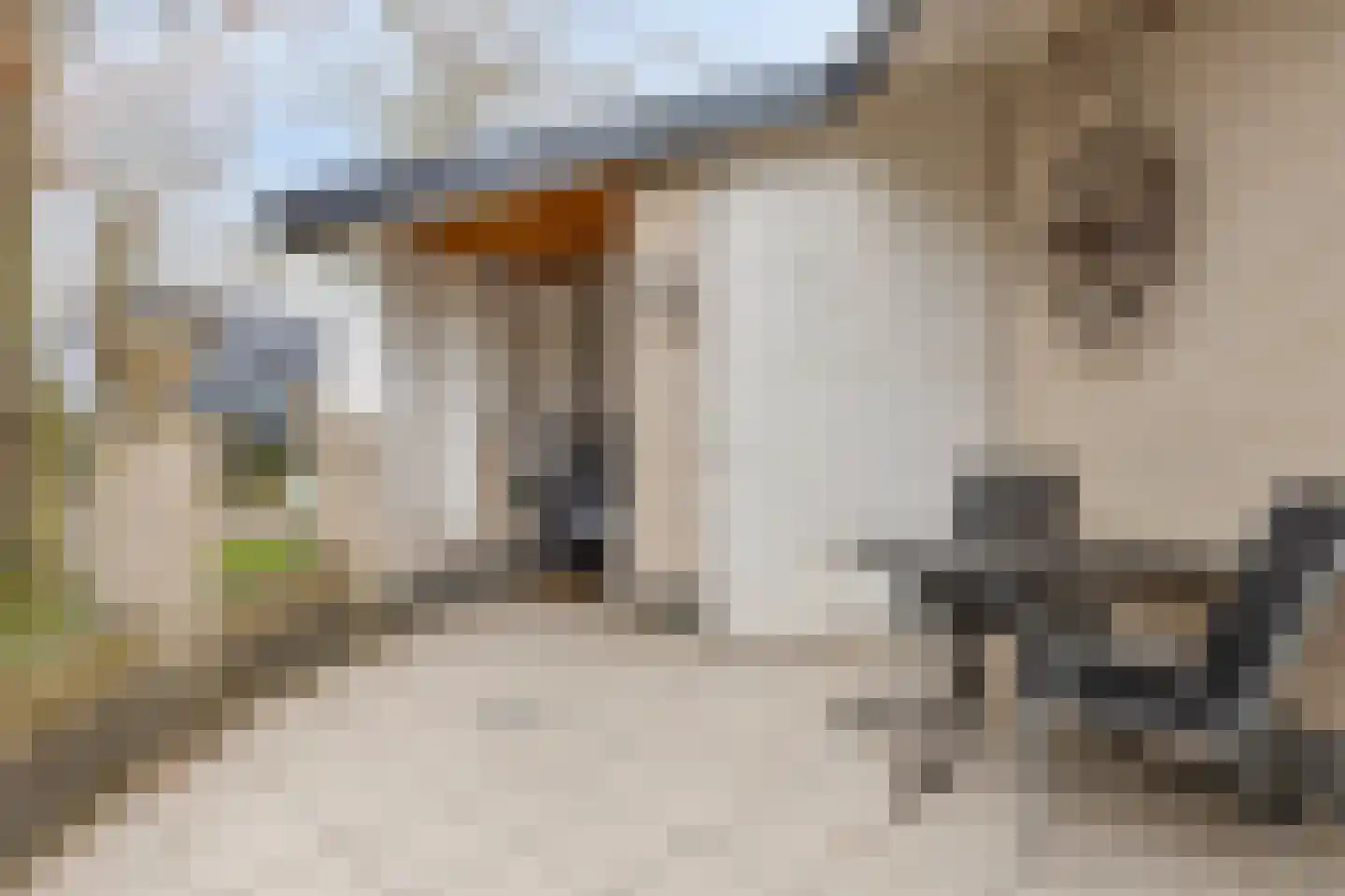 De Zandput 10 Zoutelande thumbnail 22