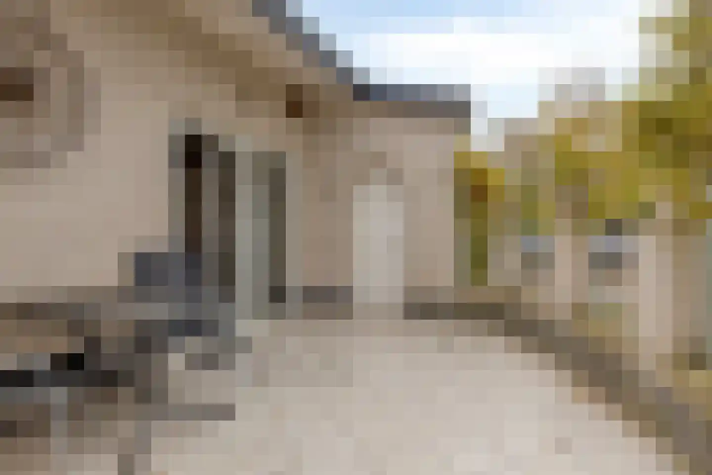 De Zandput 10 Zoutelande thumbnail 23