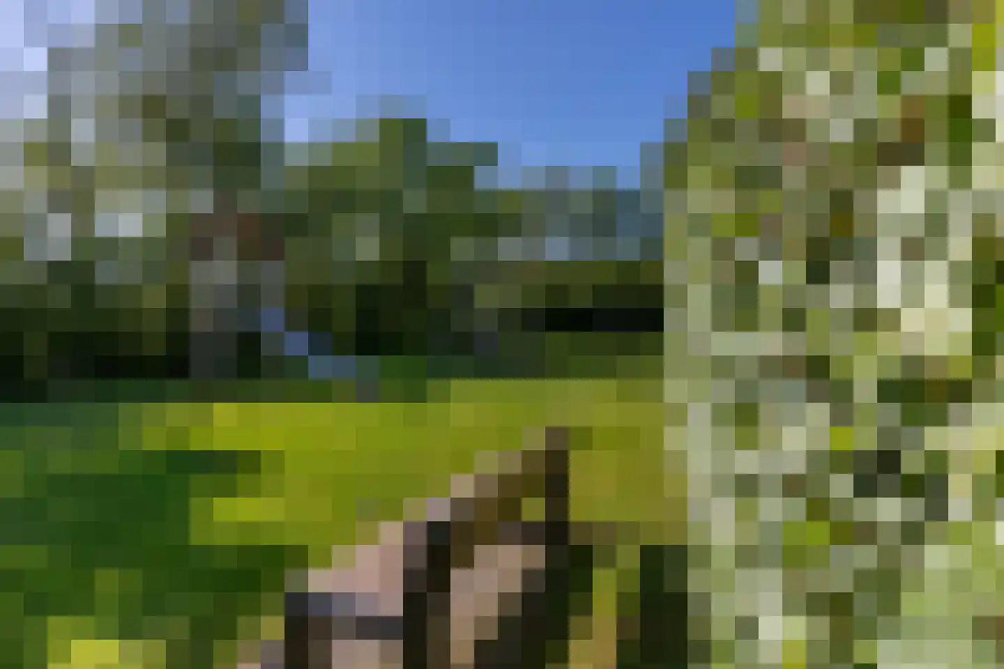 De Zandput 10 Zoutelande thumbnail 32