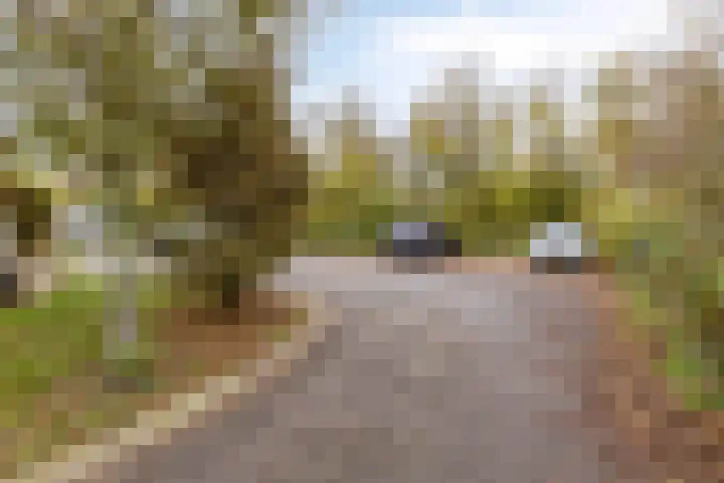 De Zandput 10 Zoutelande thumbnail 9
