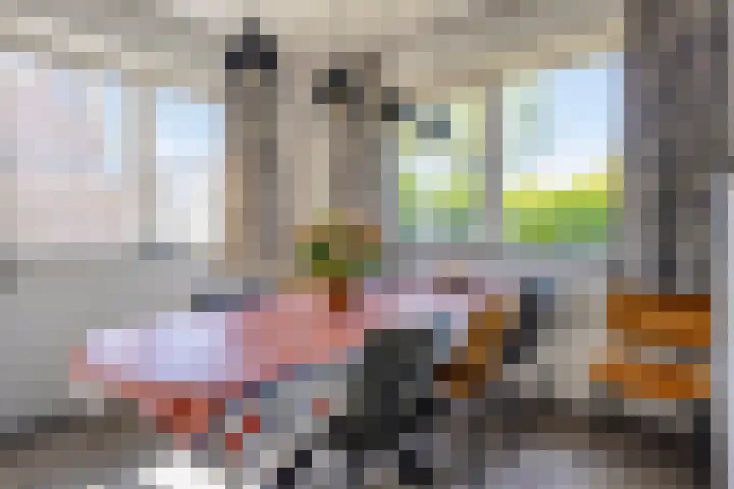 De Zandput 20 Zoutelande thumbnail 11