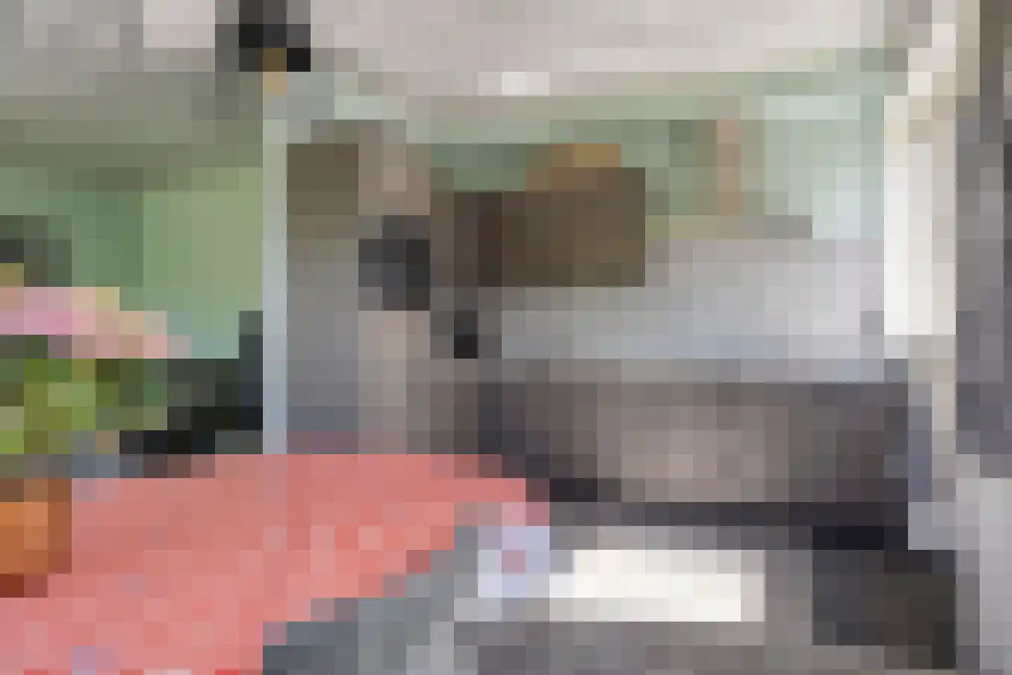 De Zandput 20 Zoutelande thumbnail 12