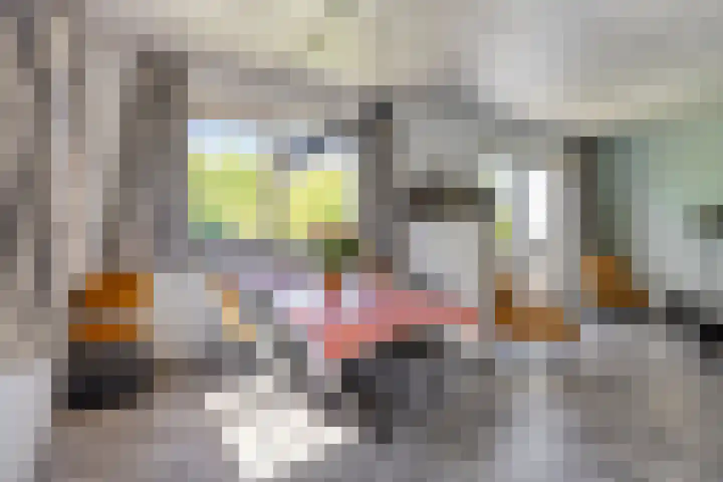 De Zandput 20 Zoutelande thumbnail 13