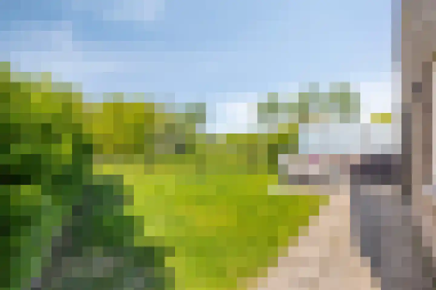 De Zandput 20 Zoutelande thumbnail 15