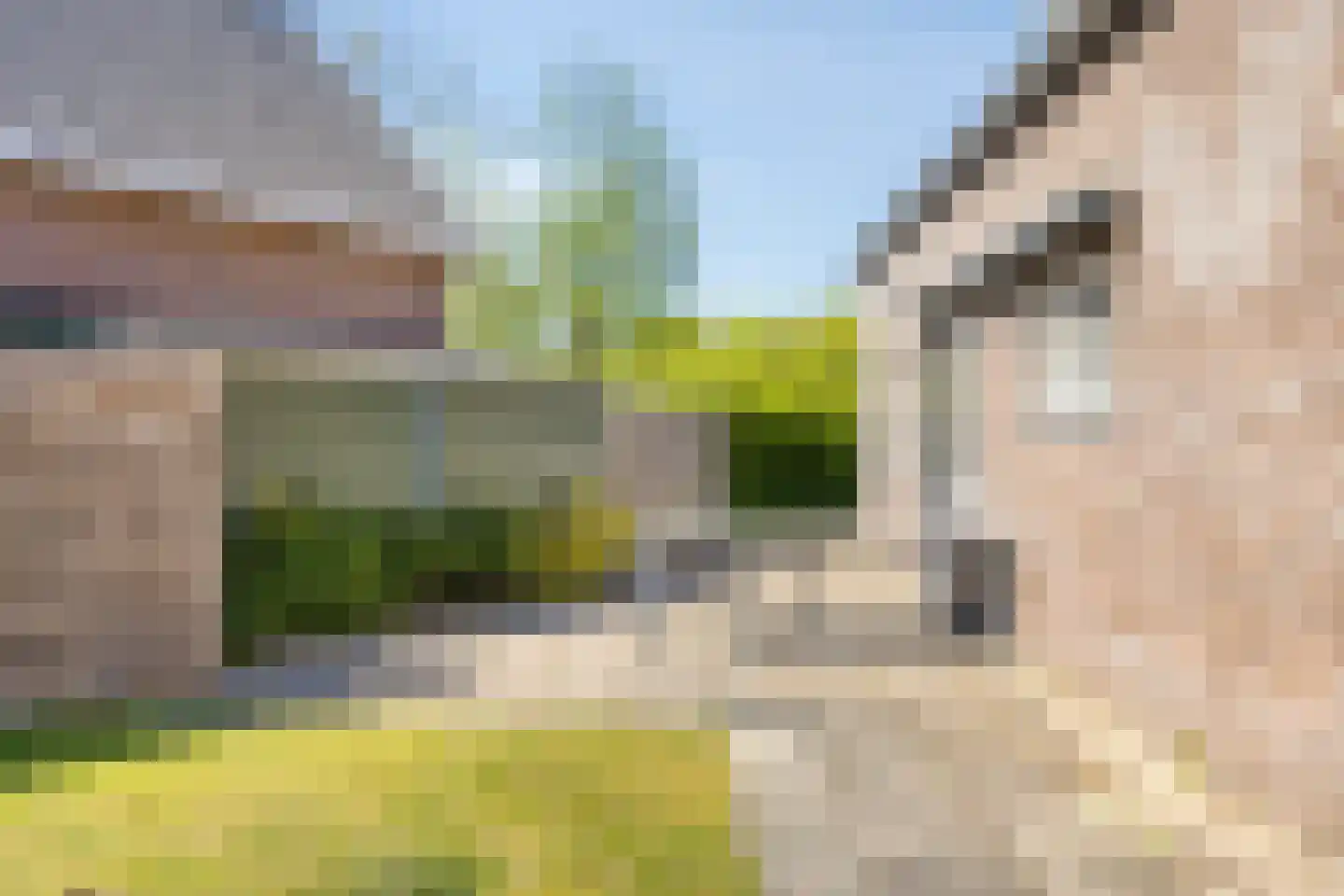 De Zandput 20 Zoutelande thumbnail 18