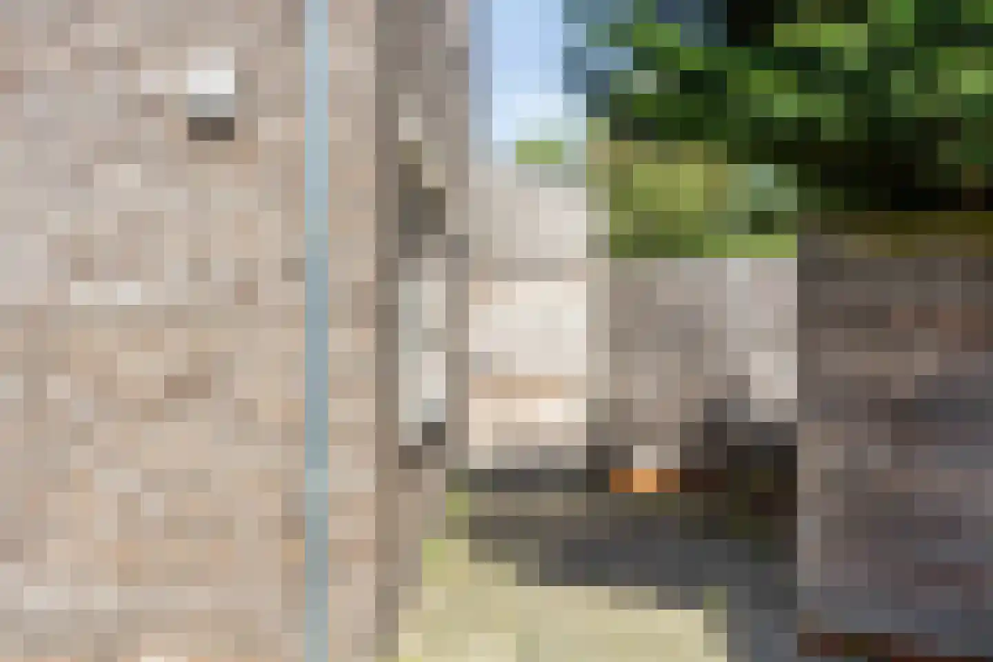 De Zandput 20 Zoutelande thumbnail 20