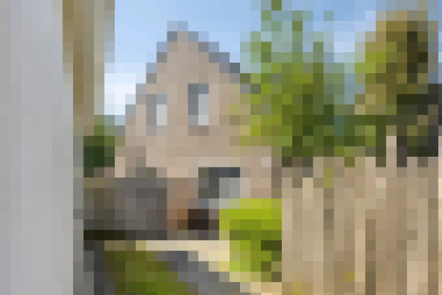 De Zandput 20 Zoutelande foto 3