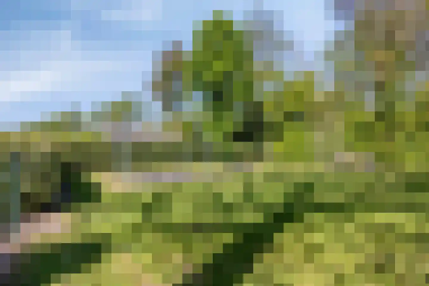 De Zandput 20 Zoutelande thumbnail 40