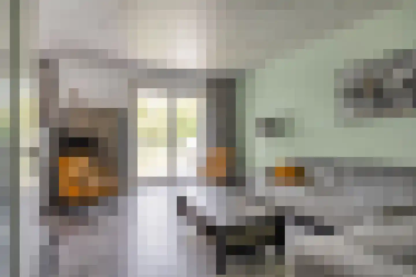De Zandput 20 Zoutelande thumbnail 7