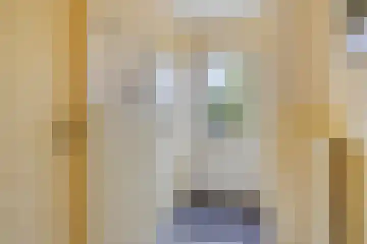 De Zandput 30 Zoutelande thumbnail 11