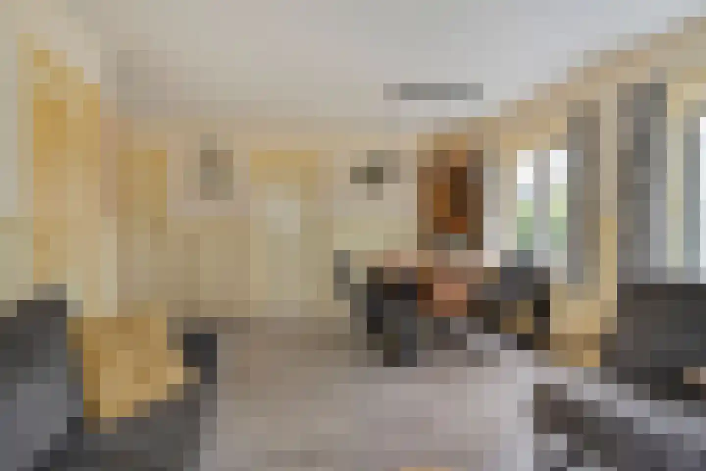 De Zandput 30 Zoutelande thumbnail 20