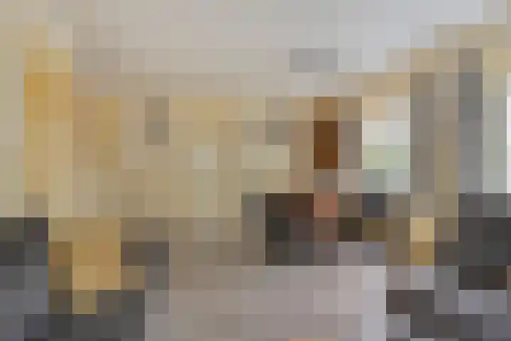 De Zandput 30 Zoutelande thumbnail 20