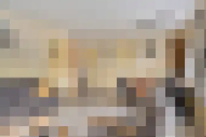 De Zandput 30 Zoutelande thumbnail 21