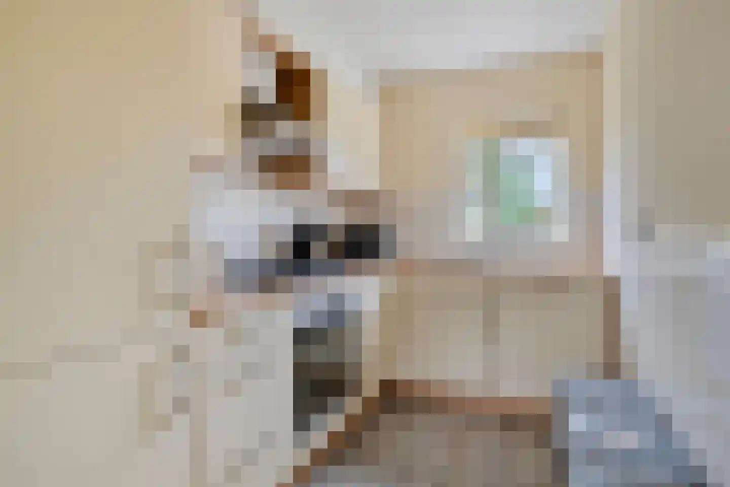 De Zandput 30 Zoutelande thumbnail 23