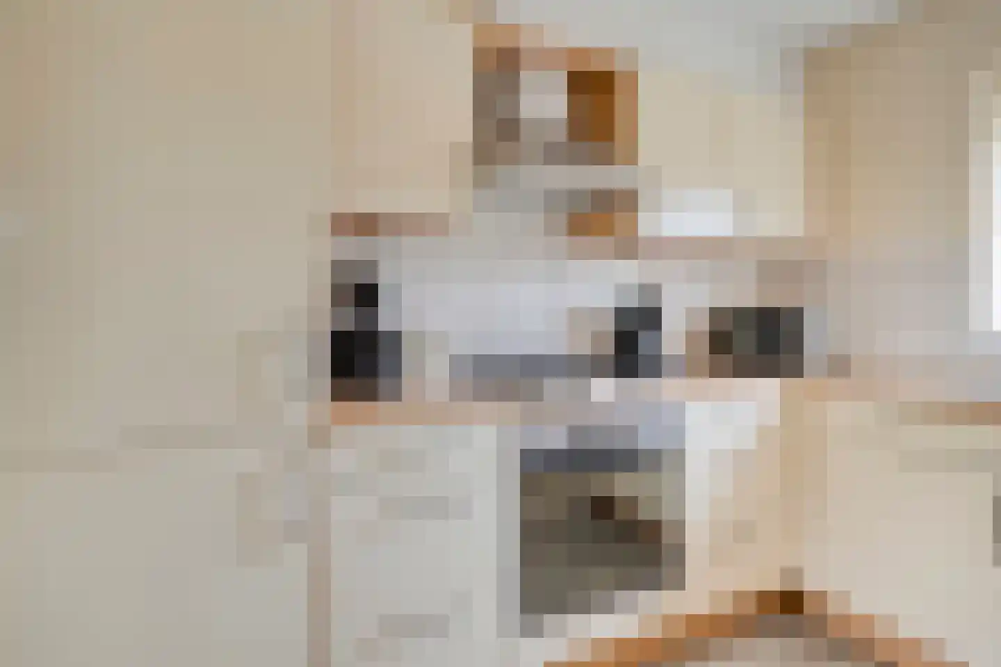 De Zandput 30 Zoutelande thumbnail 24