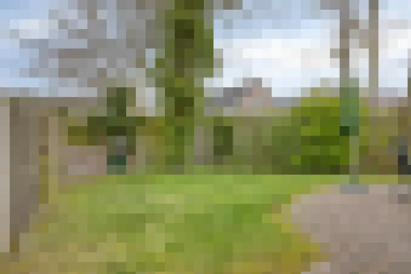 De Zandput 30 Zoutelande thumbnail 30