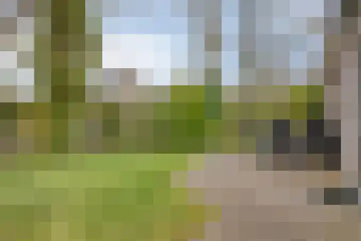 De Zandput 30 Zoutelande thumbnail 31